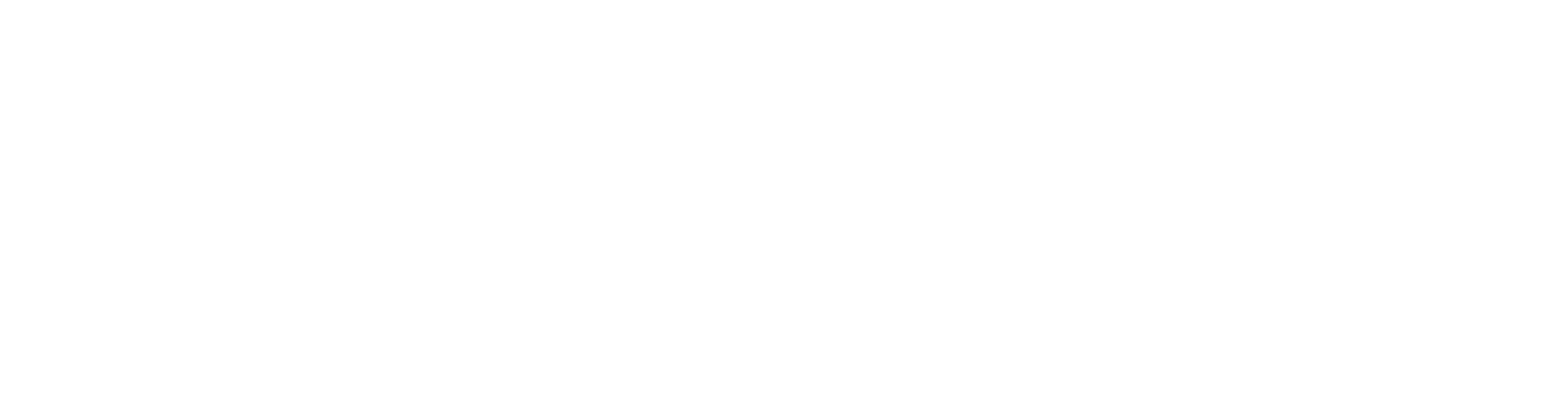 Big Logo Conurba